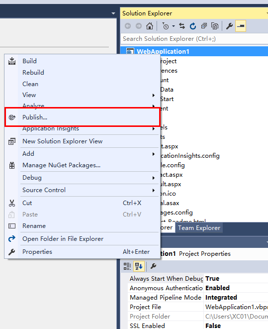visual studio publish application