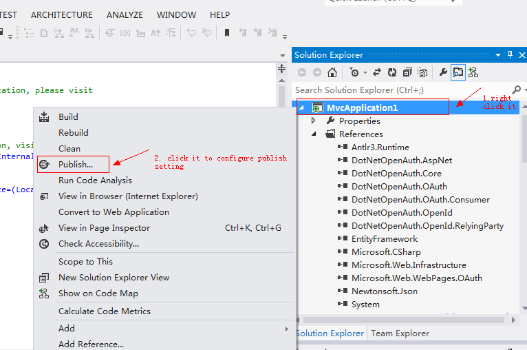 visual studio publish website